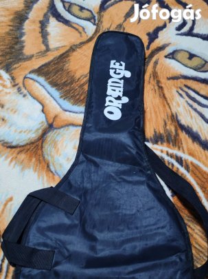 Elektromos gitár eladó 