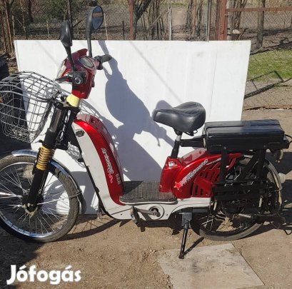 Elektromos kerékpár, bicikli