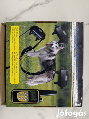 Elektromos nyakörv.