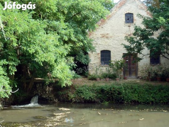 Élet a  természet lágy ölén. 141_agr