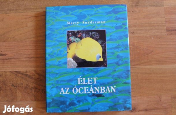 Élet az óceánban - Nagyméretű képeskönyv