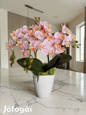 Élethű Orchidea