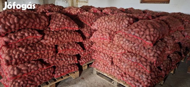 Elite fehér címkés vetőgumóról Démon 