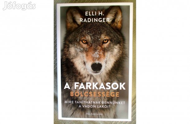 Elli H. Radinger: A farkasok bölcsessége - Mire taníthatnak bennünket