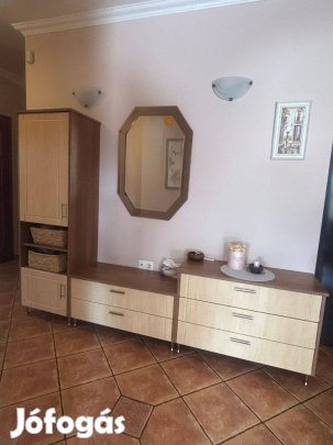 Előszobafal és/vagy bútor bézs-barna színben azonnal elvihető