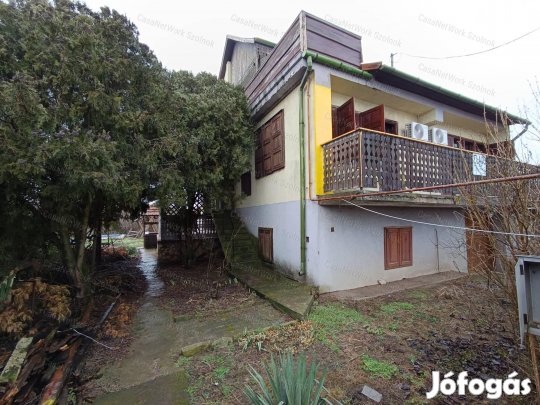 Eltolt szintes, hőszigetelt, Holt-Tisza parti családi ház eladó
