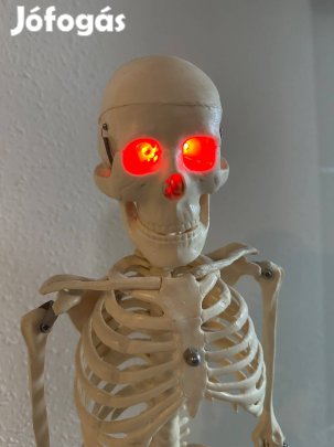 Emberi Csontváz Modell