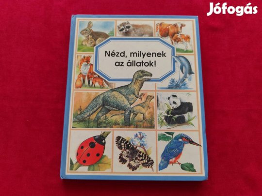 Émilie Beaumont Lindsey Selley: Nézd milyenek az állatok!