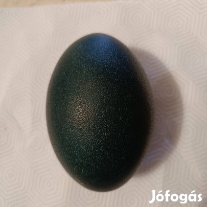 Emu tojások eladók 