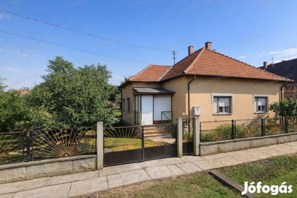 Endrőd városrészben, a Fűzfás-zugi Holt-Körös közelében, Lidl és