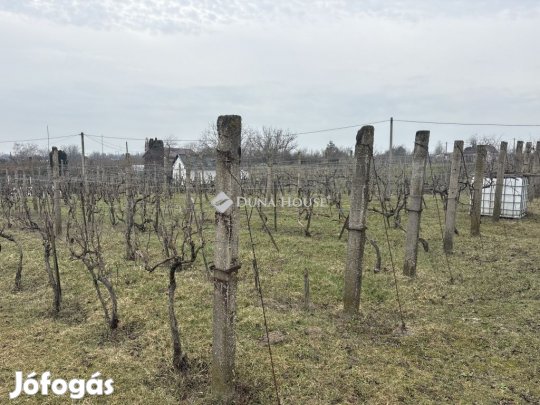 Enyingi 29 nm-es ház eladó