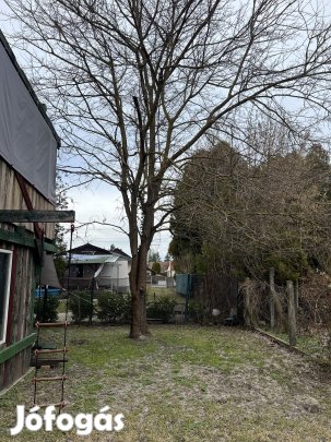 Eperfa kivágásért ingyen elvihető