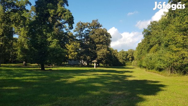 Építési telek 50-100 éves tölgyfás 80.000 m2