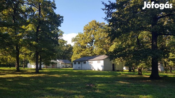 Építési telek 50-100 éves tölgyfás 80.000 m2
