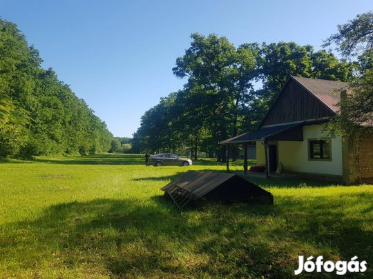 Építési telek 50-100 éves tölgyfás 80.000 m2