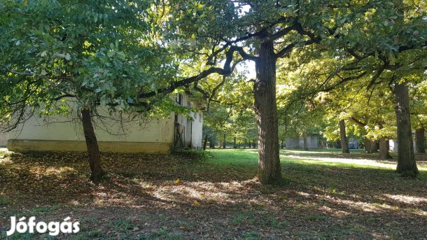 Építési telek 50-100 éves tölgyfás 80.000 m2