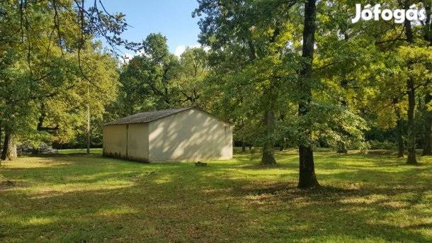 Építési telek 50-100 éves tölgyfás 80.000 m2