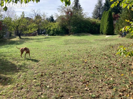 Építési telek Budapest XVI. kerületben