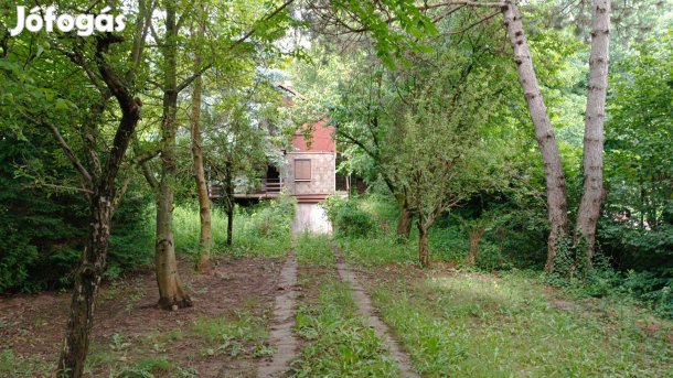 Építési telek, faházzal Remeteszőlősön