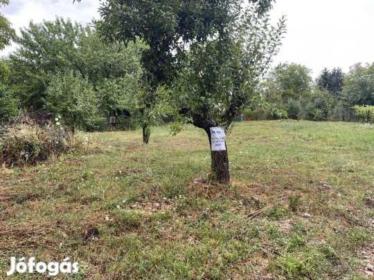 Építési telek a Harsányi tó felett