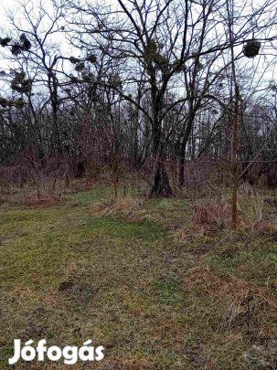 Építési telek eladó Bakonygyiróton