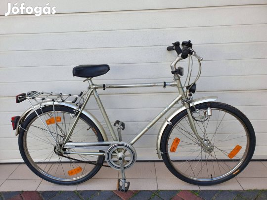 Epple Nessi Férfi kerékpár eladó (25)