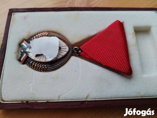 Érdemérem Régi Magyar dobozában