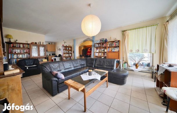 Érdi 105 nm-es ház eladó