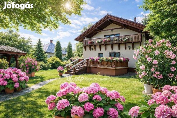 Érdi 170 nm-es ház eladó