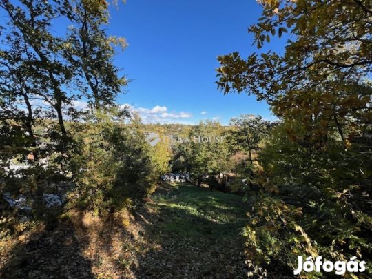 Érdi 2265 nm-es telek eladó