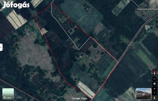 Erdő Kecskemét Vágásérett