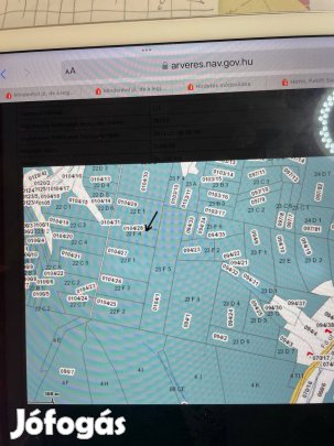 Erdő eladó a legnyugatibb faluban