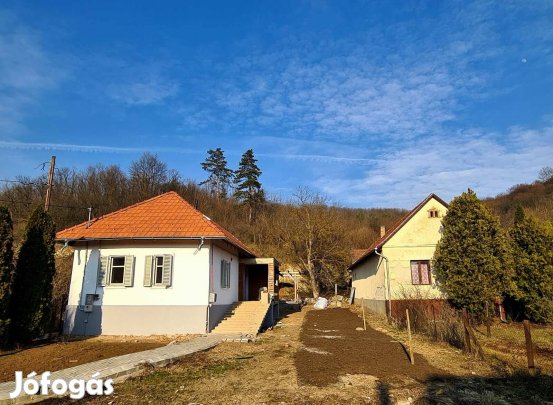 Erdő mellett Mátraszelén eladó egy teljesen felújított rusztikus ház