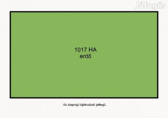 Erdő rész eladó Balotaszálláson