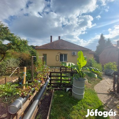 Erdő szélén- patak partján.......................