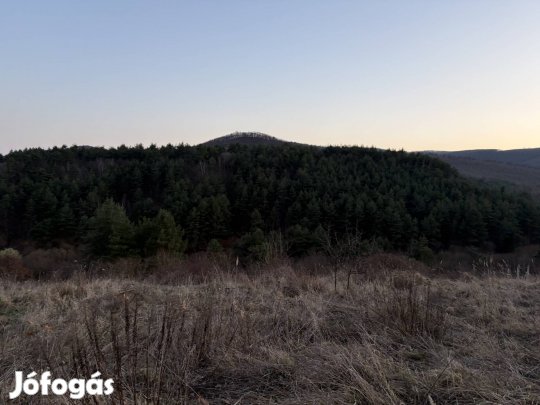 Erdőbénye panorámás telek