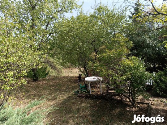 Erdőkertesi eladó telek