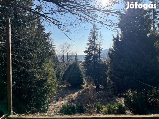 Erdőközeli telek, kedves hétvégi ház panorámával!