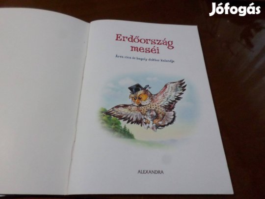 Erdőország meséi Árva cica és bagoly doktor kalandja, Gyermekkönyv