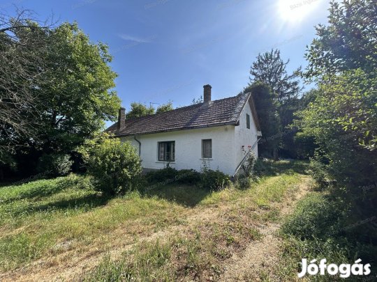 Erdőszéli házikó a Gemencben azonnal költözhetően eladó