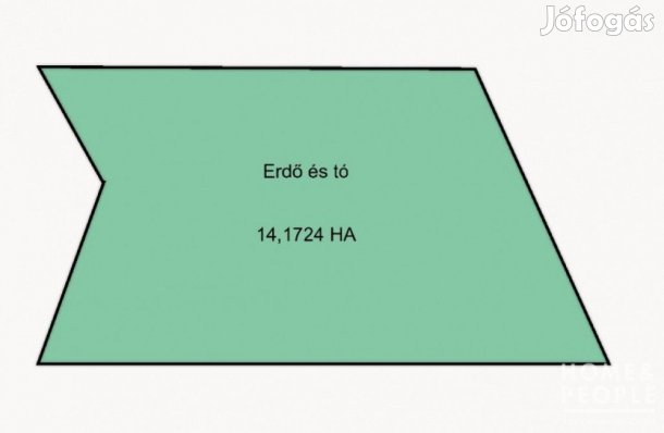 Erdővel kerített halastó - Ruzsa