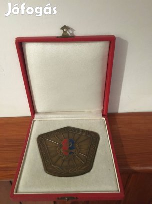 Eredményes Szakszervezeti Munkáért plakett