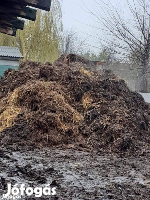 Érett Szarvasmarha Trágya Rendelhető