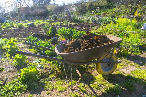 Érett Szarvasmarha Trágya Rendelhető Házhoz!