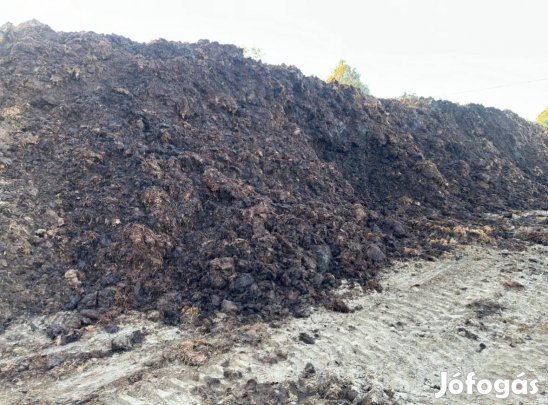 Érett Trágya Eladó!