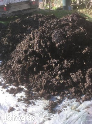 Érett istállótrágya szállítása pest megye kertjeibe