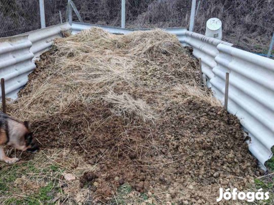 Érett ló trágya ingyen