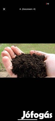 Érett marha trágya 