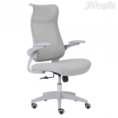 Ergonómikus forgószék F05991