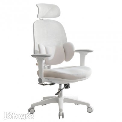Ergonómikus irodai szék F11906